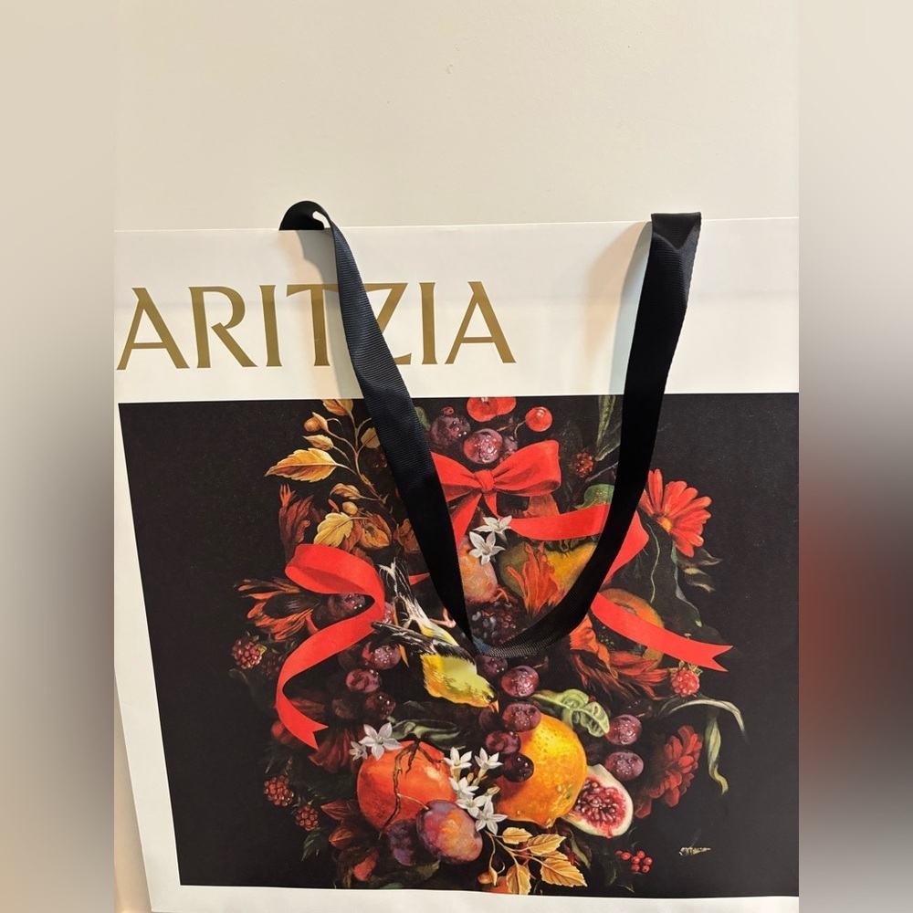 Aritzia gift bag - Picture 2 of 6